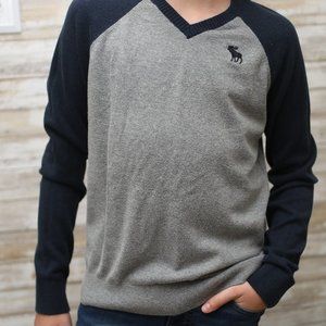 Abercrombie Kids Boys Icon V-neck Sweater